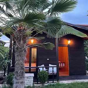 *** Hotel Blen Grand Albanie